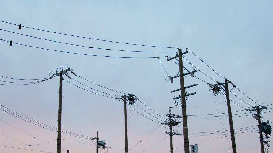 インターンシップ実施内容