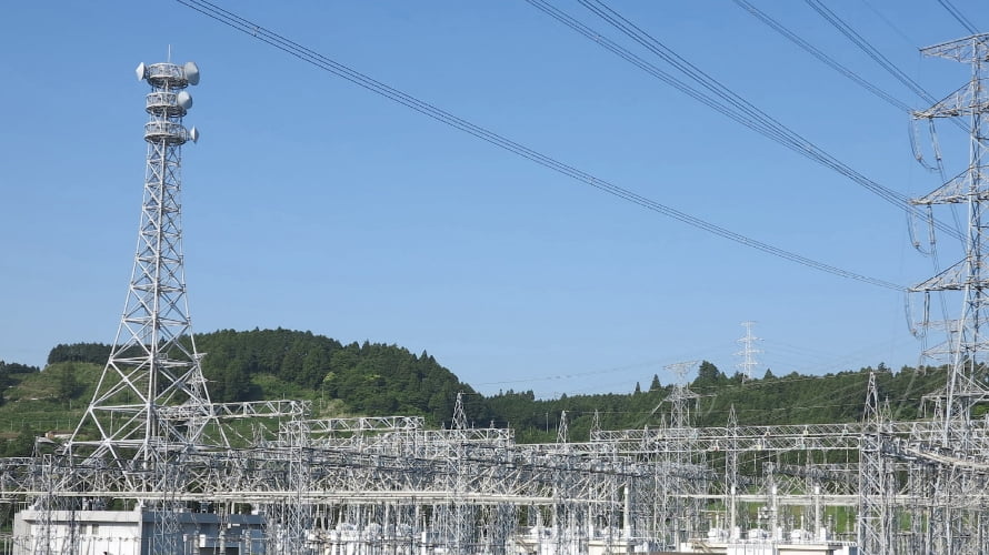 インターンシップ実施内容